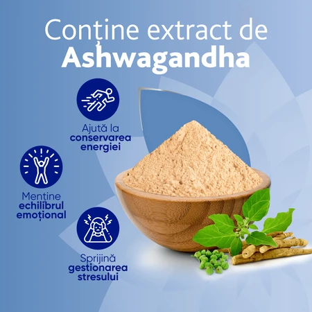 MagneVie Stress Resist with Ashwaghanda 80mg + 60 mg magnesium + 1.4mg vitamin B6, nervous system and stress resistance, 4x30 tablets