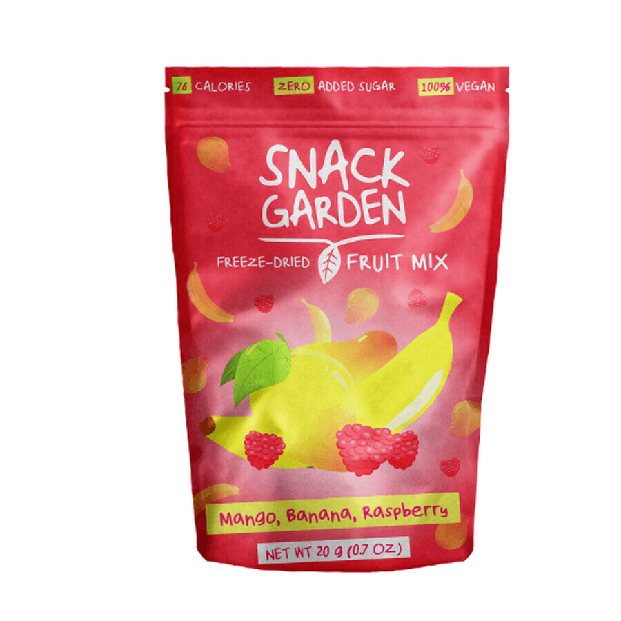 Mix de fructe deshidratate cu Mango, 20 g, Snack Garden