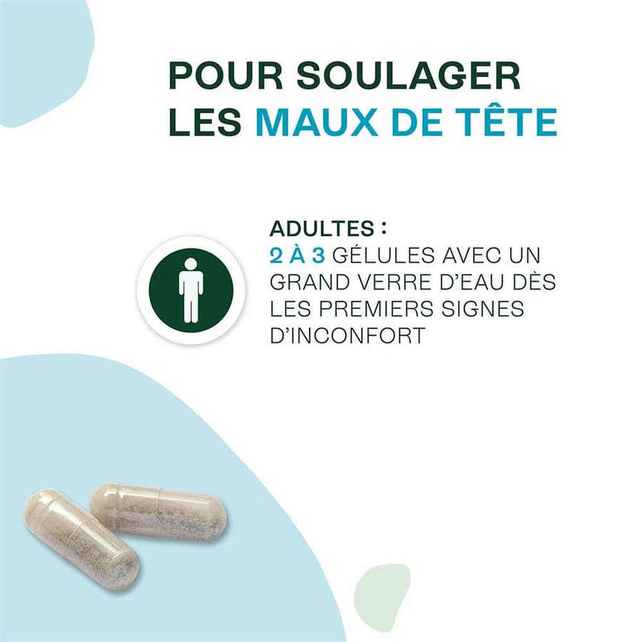 Naturactive Maux de Tête Flash Bio 14 gélules