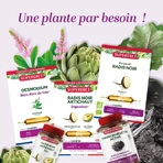 Superdiet Linden Sapwood Organic Digestion 20 Ampoules Bien-Être Digestif 20 Ampoules