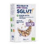 Musli Crocant cu fulgi de Ovăz și Cocos Fără Gluten, Eco, 250 gr, Sglut