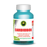 Cardiobor, 60 Kapseln, Hypericum