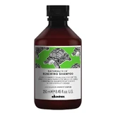 Davines Naturaltech Renewing Daily Anti-Aging Shampoo, 250 ml