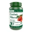 Tibetaanse Katina, 60 capsules, Pro Natura