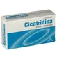 Cicatridine Vaginale Ovules 10u