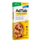 ADTAB 450 MG 1 KAUWTABLET VOOR HONDEN (11-22 KG)
