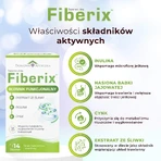 Fiberix, Schokoladen-Vanille-Geschmack, 14 Portionsbeutel