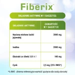 Fiberix, Schokoladen-Vanille-Geschmack, 14 Portionsbeutel