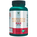 Lanco Nutritions Medicinal Honeybush Max 600 mg, 60 capsules