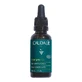 Caudalie Vinoclean, Entgiftungs-Nachtöl, 30 ml