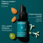 Caudalie Vinoclean, Entgiftungs-Nachtöl, 30 ml