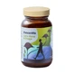 Health Labs ShroomMe Men Löwenmähne & Chaga, 45,5 g