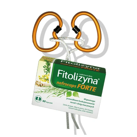 Fitolizyna nefrocaps Forte, 60 capsules