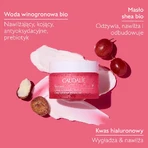 Caudalie VinoHydra, intensive moisturizing face cream, 50 ml
