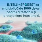 Enterogermina Forte, orale suspensie, 10 ampullen х 5 ml, Sanofi