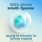 Enterogermina Forte, orale suspensie, 10 ampullen х 5 ml, Sanofi