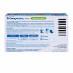 Enterogermina Forte, orale suspensie, 10 ampullen х 5 ml, Sanofi