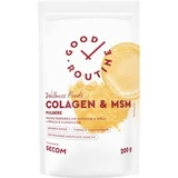Good Routine Collagen and MSM Powder, 200 g, Secom