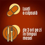 Essentiale MAX 600 mg, 3x30 Kapseln, Sanofi