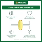 Möller's Fish Oil Forte Omega-3, 2 x 112 capsules