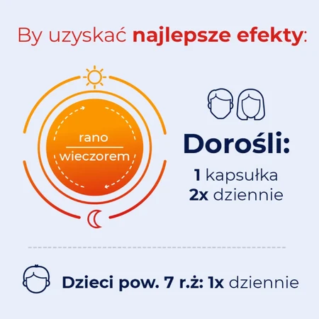 Debutir Forte, 2x60 Kapseln