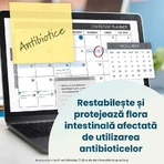 Enterogermina Forte 2×10 vials of 5 ml oral suspension, Sanofi