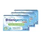 Enterogermina Forte 3x10 Fläschchen x 5 ml Suspension zum Einnehmen, Sanofi