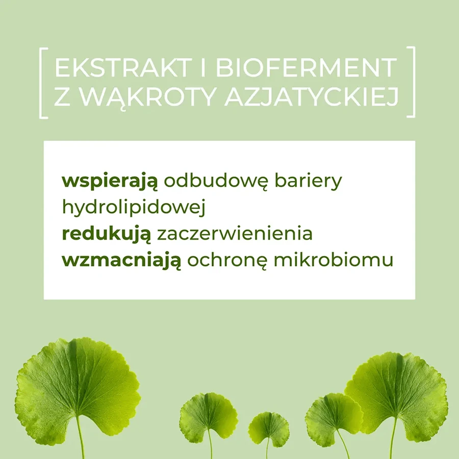 Sylveco FeedSkin Centella Asiatica, Gesichtsreinigungsschaum mit asiatischem Wakrot, 150 ml