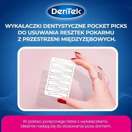 DENTEK Tandheelkundige Pocket Picks, 33st