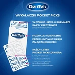 DENTEK Tandheelkundige Pocket Picks, 33st