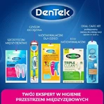 DENTEK Tandheelkundige Pocket Picks, 33st