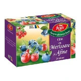 Cranberry and blueberry tea, 20 sachets, Fares