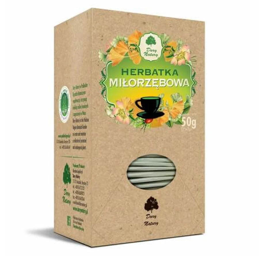 DARY NATURY Té de Ginkgo fix, 25*2g