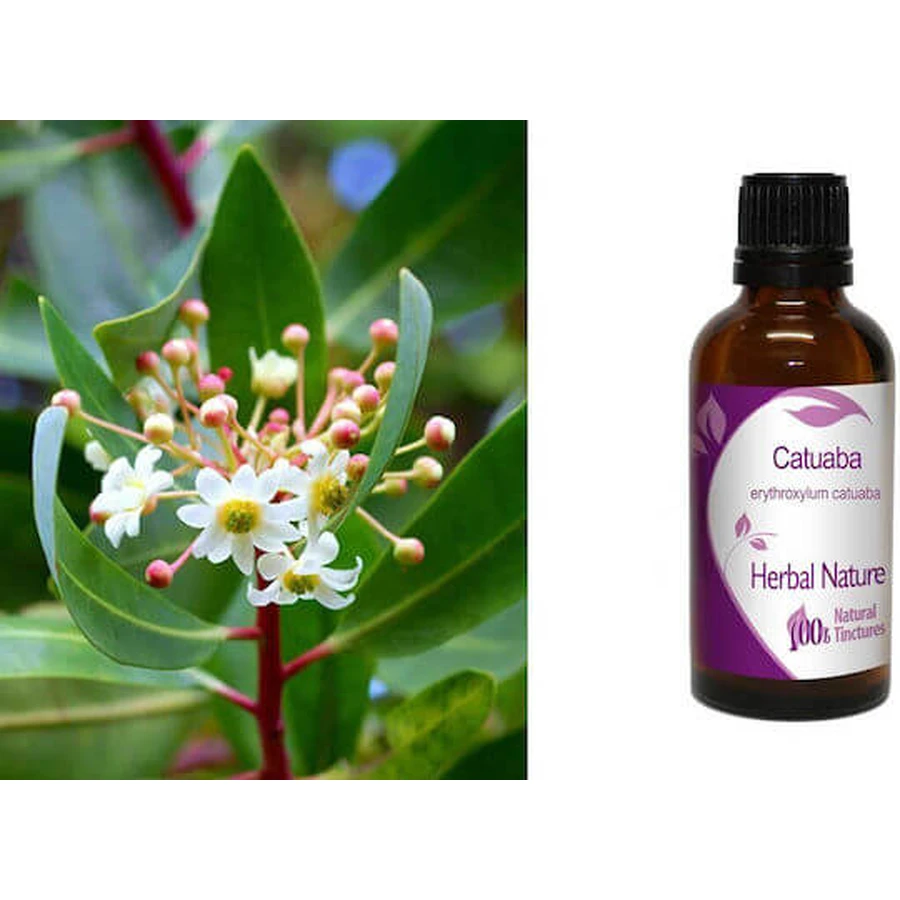 Nalewka z catuaby 50ml Nature & Body: ceny i cechy