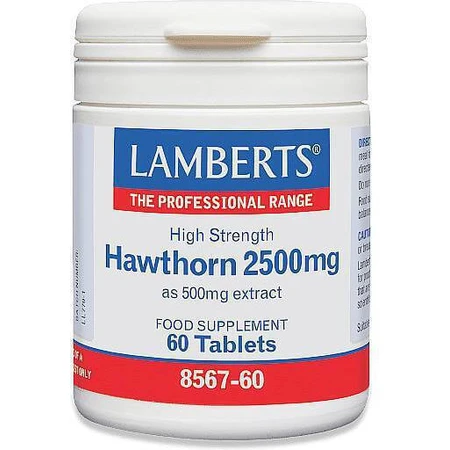 Lamberts Weißdorn 2500mg 60 Dateien