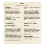 Duindoornthee, 50 g, Dacia Plant