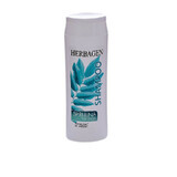 Shampoo mit Spirulina-Extrakt, 250 ml, Herbagen