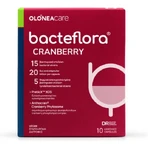 Olonea Bacteflora Probiotique Canneberge 10 gélules végétales
