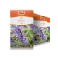 Isop-Gras-Tee, 50 g, Stef Mar Valcea
