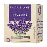 Lavendeltee, 50g, Dacia Pflanze