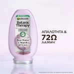 Garnier Botanic Therapy Acqua di riso e amido Rituali Acqua di riso e amido Rituali Volumizzanti 200ml