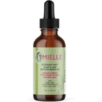 Mielle Organics Rosemary Mint Hair Oil against split ends 59ml