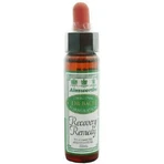 Ainsworths Recovery Remedy Blütenessenz Tropfen 10ml