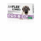AMFLEE COMBO DOG 402 mg - XL (40-60 kg) x 3 pipety