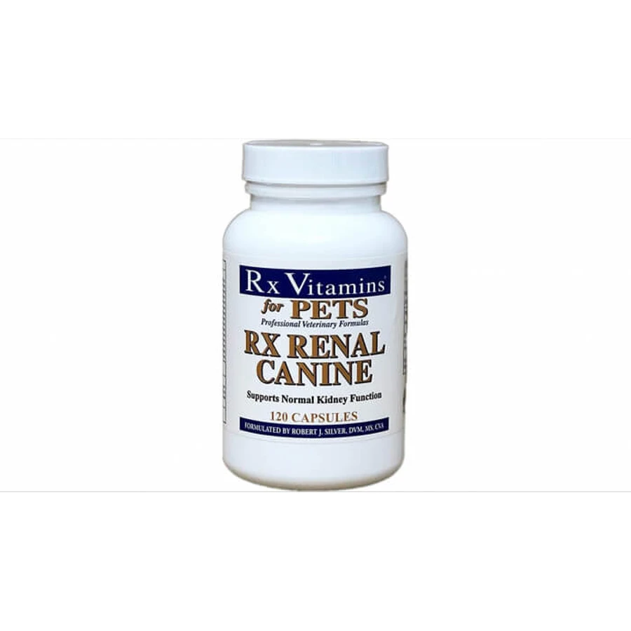 RX Renal Caine 120 Kapseln