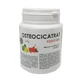 OSTEOCICATRAT Sterke gel 250 g