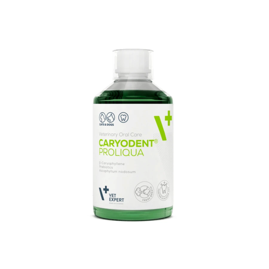 Aditivo de agua para la higiene bucal diaria de perros y gatos Caryodent Proliqua Vet Expert Proliqua Vet Expert, 250ml