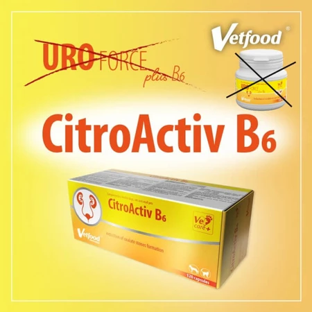 VetFood CitroActiv B6, 120 capsules