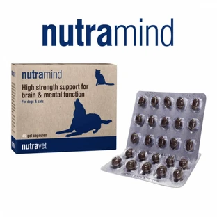 Nutravet Nutramind Chiens et Chats, 45 gélules