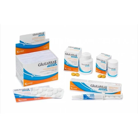 GlutaMax Forte Hund Unterstützung für die Leberfunktion - 120 Tabletten